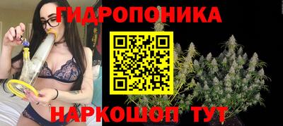 mix Будённовск