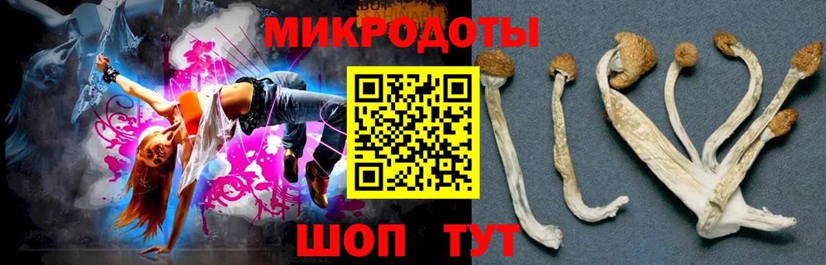 Галлюциногенные грибы Cubensis Назарово